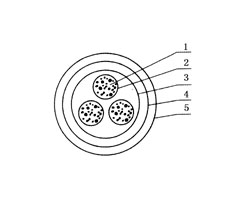 ������̖(h��o)��